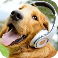 Barking Dog Sounds on 9Apps