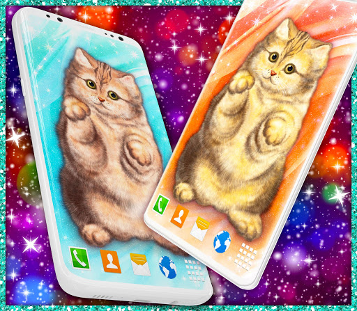 Cute Cat Live Wallpaper ❤️ Fluffy Kitty Wallpapers screenshot 4