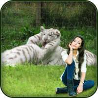 Jungle Photo Frame on 9Apps