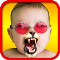 Face Fun - Photo Collage Maker