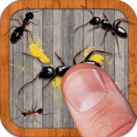 Ant Smasher by Best Cool & Fun Games