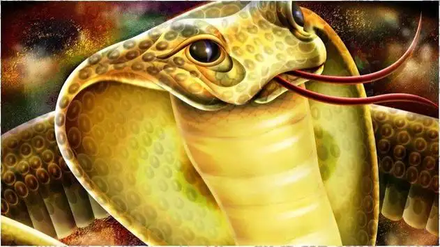 Snake Wallpapers APK Download 2023 - Free - 9Apps