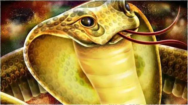 Snake Wallpapers APK Download 2023 - Free - 9Apps Snake Wallpapers APK Download 2023 - Free - 9Apps