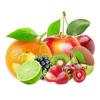 Fruits Quiz -guess and learn fruit ninja?? ? ?