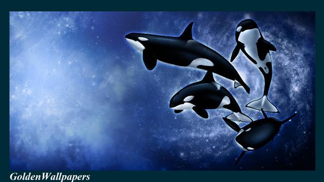 Killer Whales Wallpaper 58 pictures