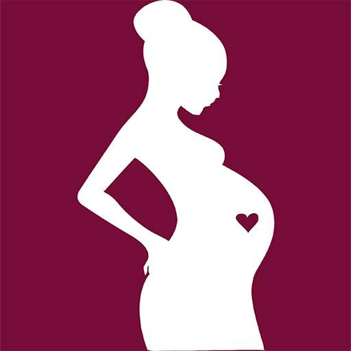 Day by Day Pregnancy Tracker