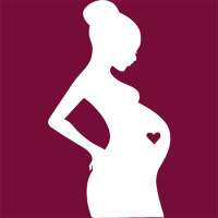 Day by Day Pregnancy Tracker on 9Apps