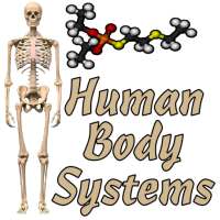 Human Body Systems on 9Apps