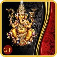 Ganesh Chaturthi Wishes GIF & Lord Ganesha Status