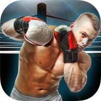 Mega Street Boxing -  Real 3d