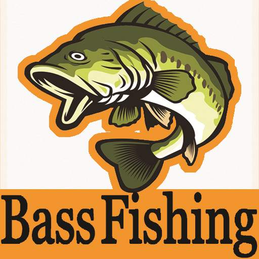 Bass Fishing Techniques & Tips & bass fishing lure