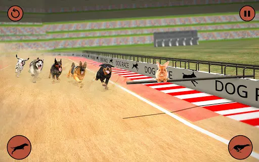 Greyhound 3D Dog Racing Fever - Apps on Google Play