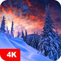 Winter Hintergrundbilder 4K
