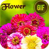 Flower Gif