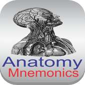 Anatomy Mnemonics on 9Apps