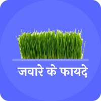 ज्वारे के फायदे (Benefits of wheat grass) on 9Apps