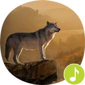 Wolf Sounds Ringtones on 9Apps