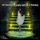 PLP Tutorials (Photography, Lightroom & Photoshop)