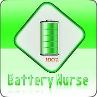 Battery Nurse