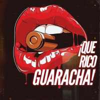 Download Electronic Guaracha Music