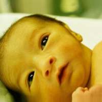 Newborn Jaundice Treatment