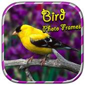 Bird Photo Collage on 9Apps