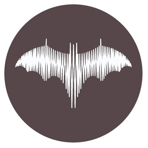 BatPlayer: free audio player with lyrics