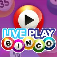 Live Play Bingo: Real Hosts