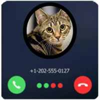 fake call from cat