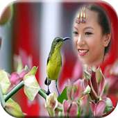 Borneo Exotic Bird Photo Maker