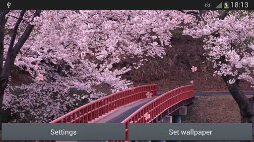 Sakura Live Wallpaper APK Download 2023 - Free - 9Apps