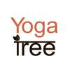 Yoga Tree - Baltimore