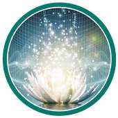 The Mystical Lotus on 9Apps