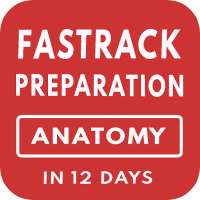 Подготовка к экзамену по анатомии через 12 дней on 9Apps