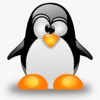 Basic Linux Command