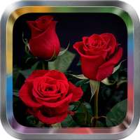 Rose Flower Live Wallpaper Pro