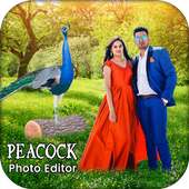 Peacock Photo Editor on 9Apps