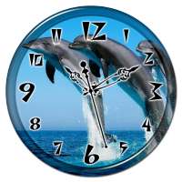 Dolphin Clock Live Wallpaper