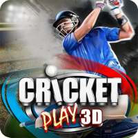 Cricket Giocare 3D on 9Apps