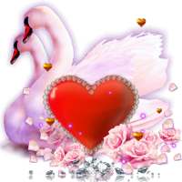 Love Swans Live Wallpaper
