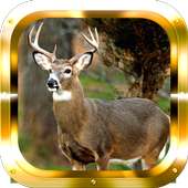 Sniper Deer Hunter