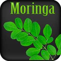 Beneficios de la Moringa on 9Apps