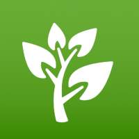 Medicinal Plants & Remedies on 9Apps