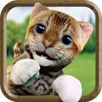 kedi simülatörü oyunlar-evcil yavrusu
