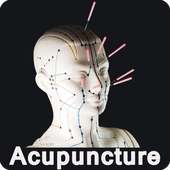 Acupuncture Guide on 9Apps