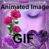 Animated Images Gif on 9Apps