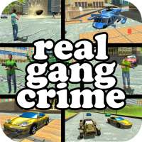 Miami Crime V: Real Gangster