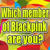 أي من Blackpink أنت؟