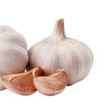 लहसुन के फायदे  Benefits of garlic on 9Apps