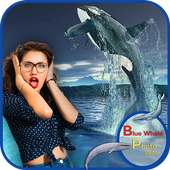 Blue Whale Photo Editor on 9Apps